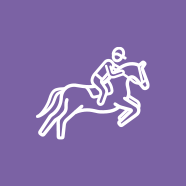 Elevage de chevaux de course à Montsûrs